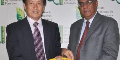 Idiaf y cooperación coreana entregan semilla de nueva variedad de papa