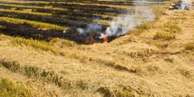 Por contaminación atmosférica Ministerio Público procesa a diez productores de arroz