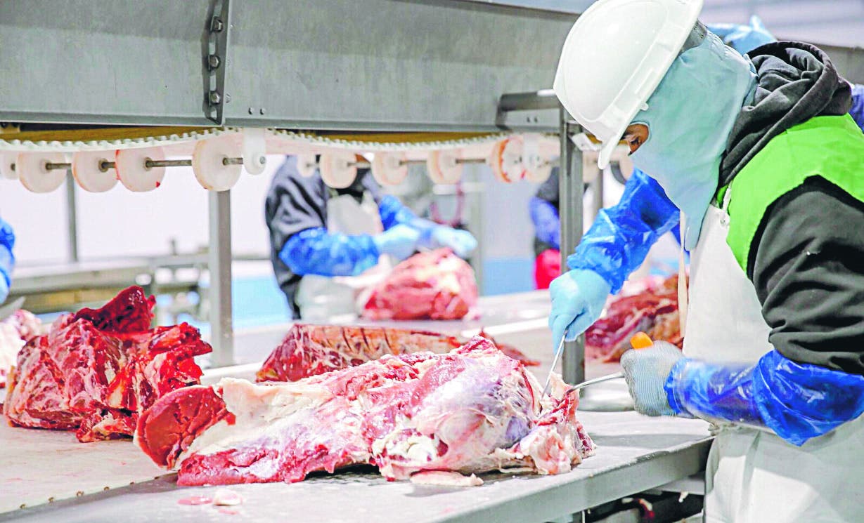 EE.UU. abre sus puertas a carne bovina dominicana