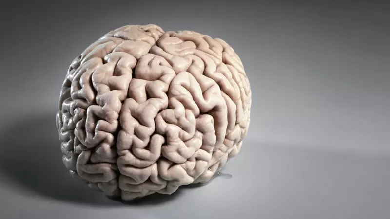Neuróloga  llama al cuidado la salud cerebral