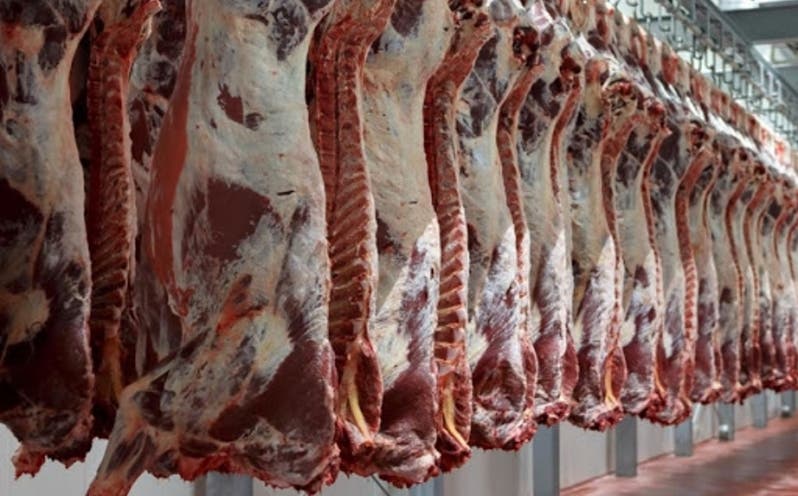 La exportación de carne res traerá mayores divisas