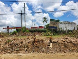 Investigan director del Distrito Palmarejo por corte de cientos de árboles de caoba