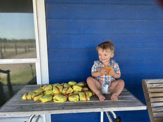 Niño de dos años pide 31 hamburguesas con el celular de su madre