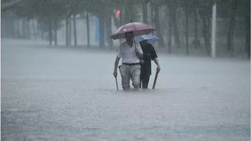 Cambio climático: hay un 