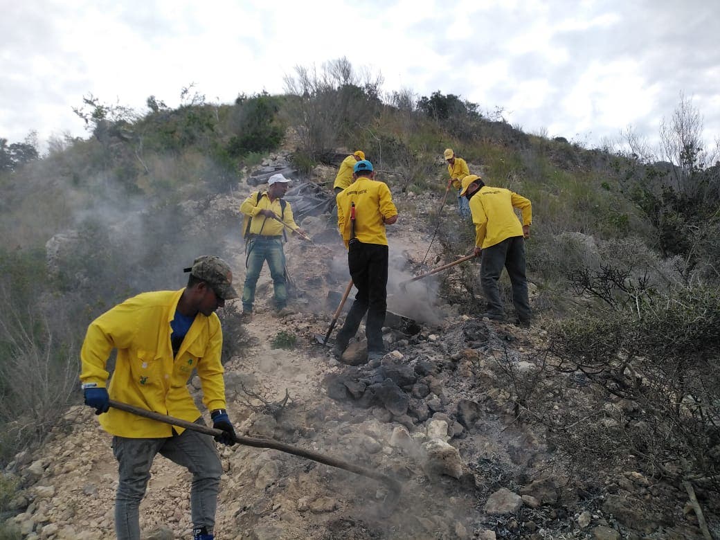 Bomberos forestales extinguen incendio provocado por tendido eléctrico en Monte Cristi  