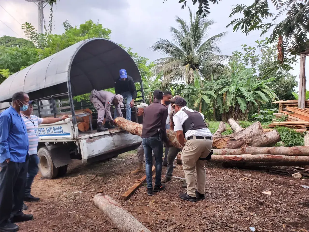 Allanan aserraderos y ocupan caobas de las taladas por el director de Junta Distrital Palmarejo