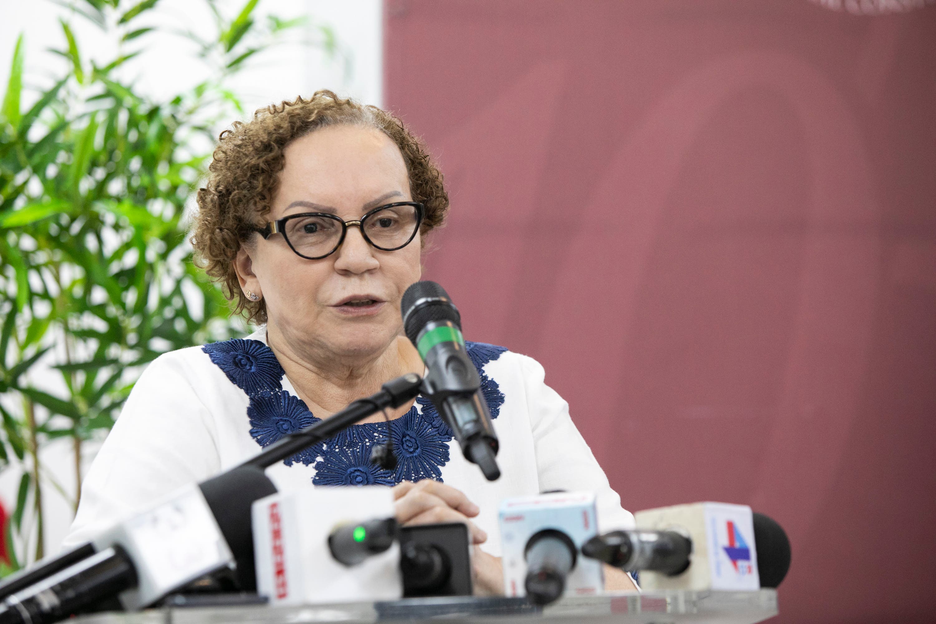 Miriam Germán Brito niega que Consultor Jurídico intervenga en asuntos de la Procuraduría