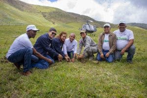 UTEPDA siembra más de 34 de mil árboles en jornada simultánea