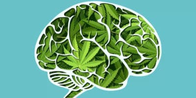 Cómo el consumo de marihuana afecta nuestra mente, según nuevos estudios