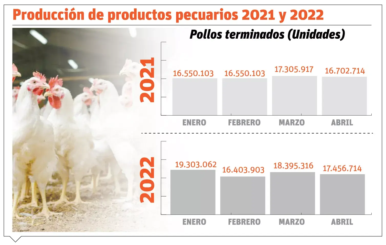 Productores: “En el país falta cerca de un millón de pollos”