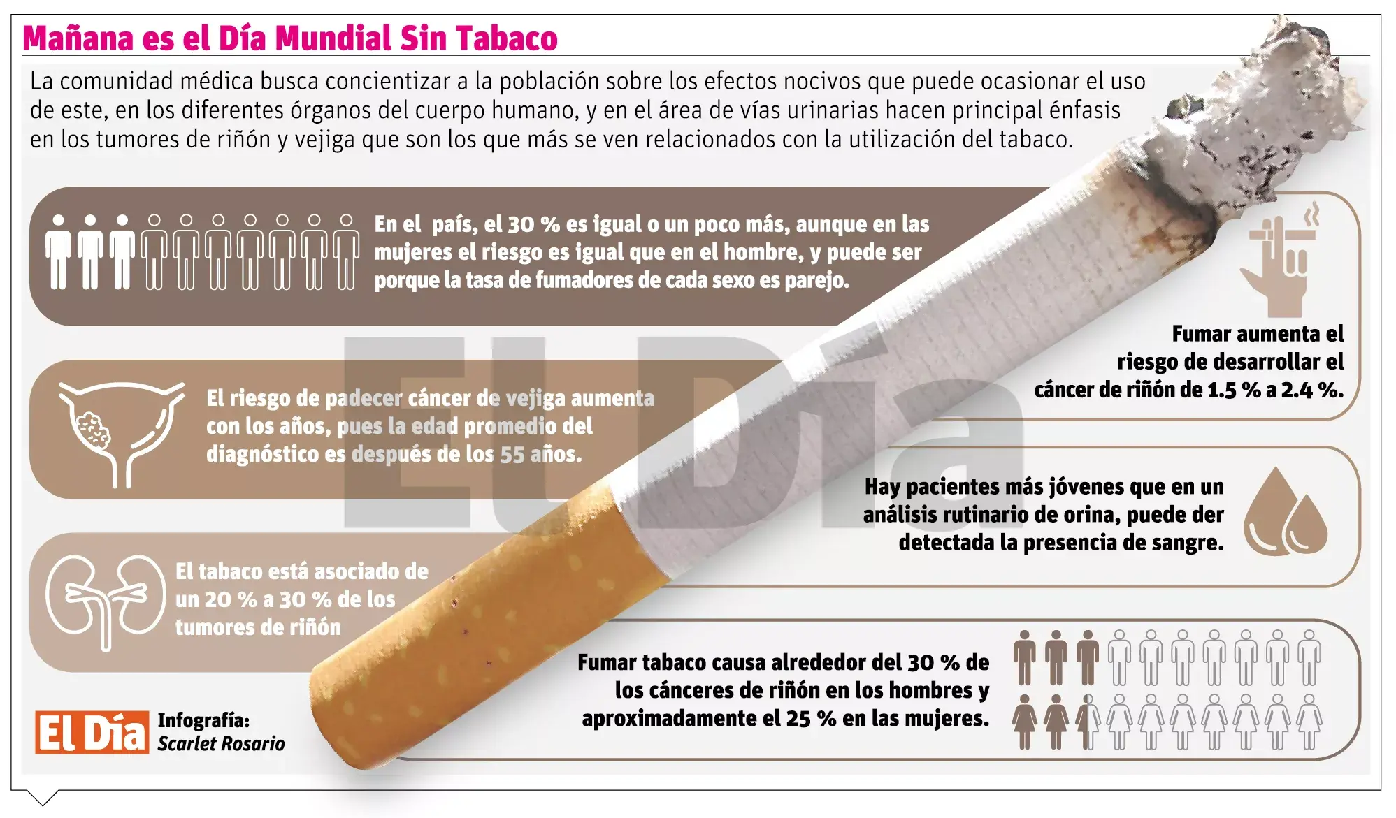 El tabaco duplica riesgo de cáncer vejiga y riñón