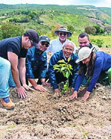 La Utepda entrega 2,500 plantas de aguacate