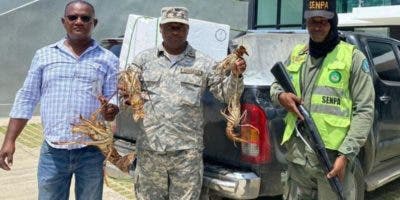 Medio Ambiente decomisa langosta por época veda