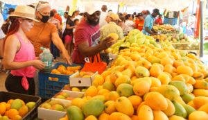 Más que una fruta, el mango es un negocio extendido a tres provincias