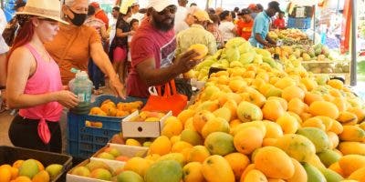 Más que una fruta, el mango es un negocio extendido a tres provincias