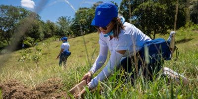 Banco Popular realiza jornada de reforestación junto a proveedores y colaboradores voluntarios