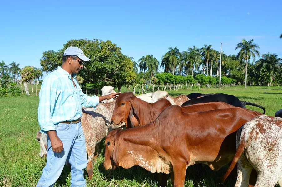 Conaleche ha prestado más de RD$223 millones a sector ganadero