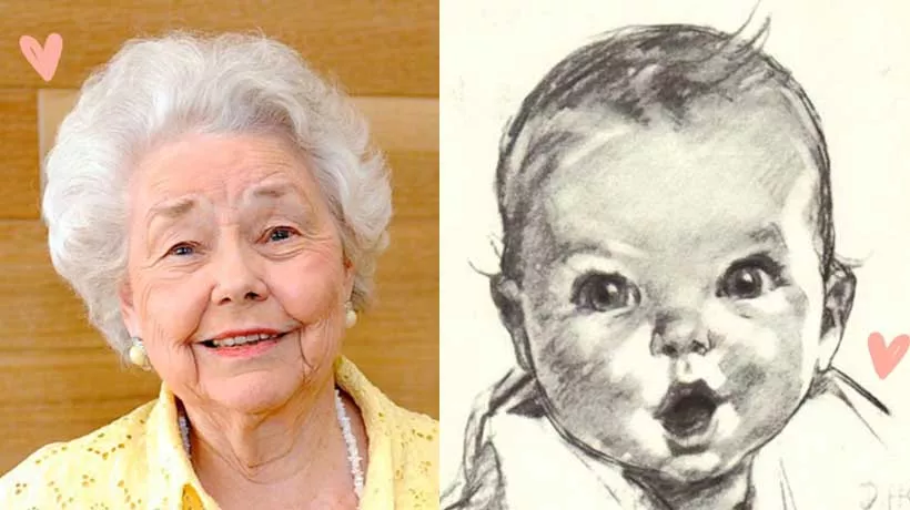 gerber-ann-cook