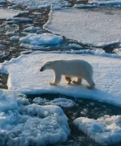 Semana del clima insta a los jóvenes a  liderar la defensa del planeta