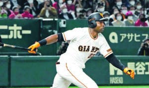 Peloteros dominicanos brillan béisbol japonés