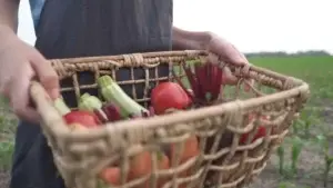 Entidades buscan incluir mujeres agricultoras a suplir al sector turístico