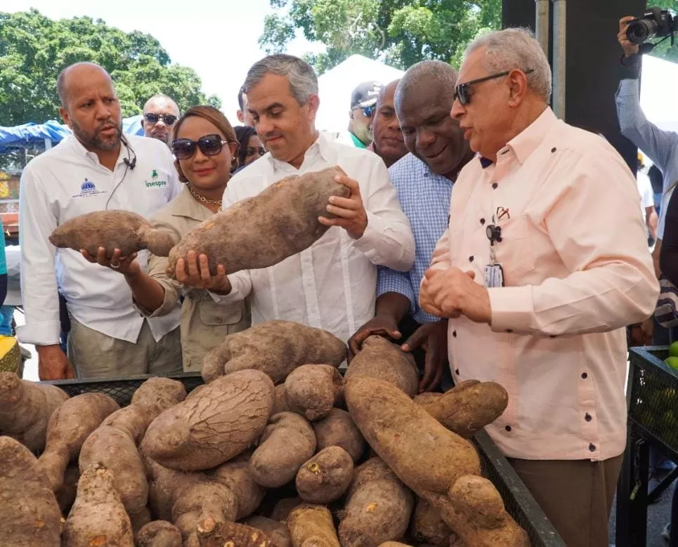 Realizarán feria 