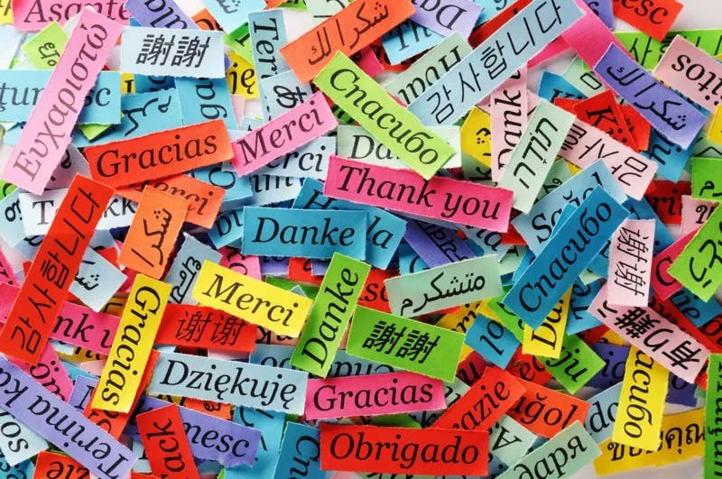 Cómo afronta nuestro cerebro el hecho de hablar más de un idioma