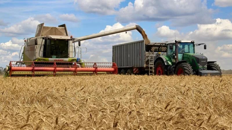 Ucrania y Rusia acuerdan desbloquear la exportación de cereales ucranianos