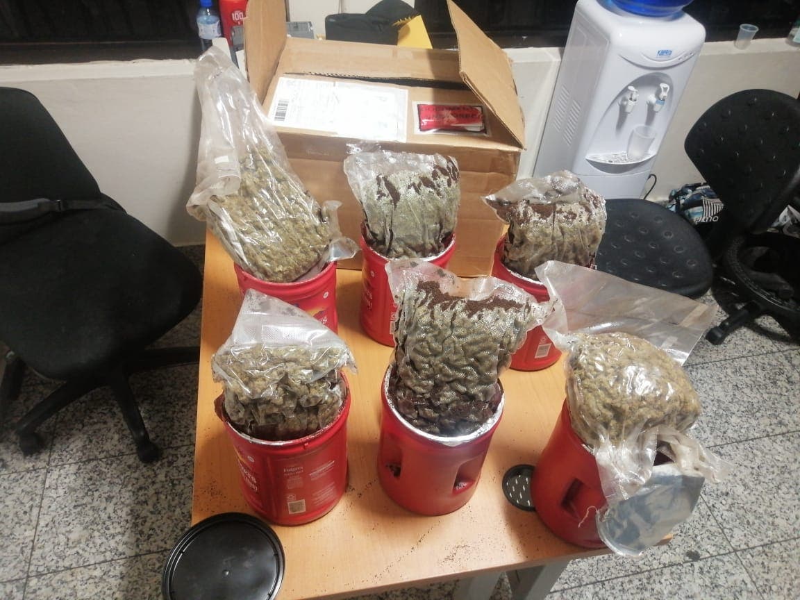 DNCD incauta seis paquetes de marihuana en envases de café