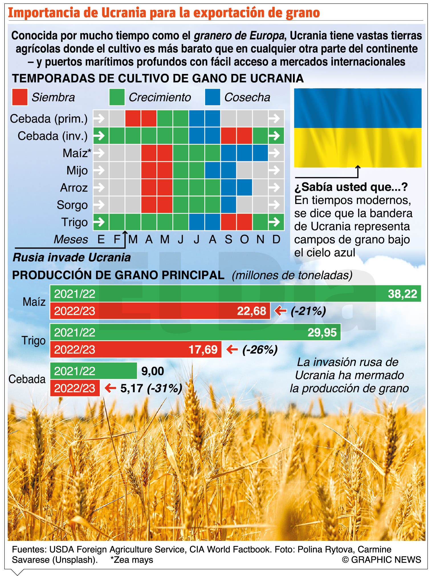 Rusia y Ucrania acuerdan reanudar exportación cereales