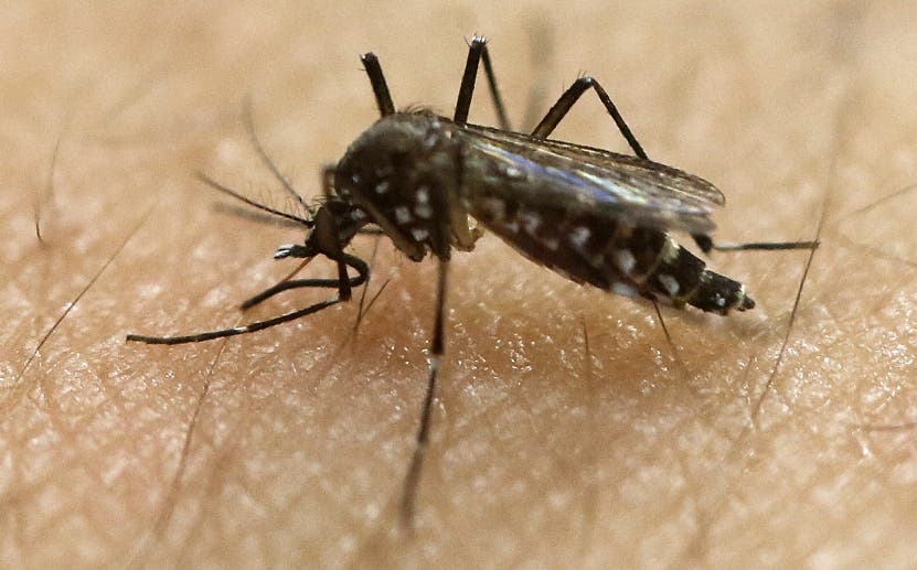 Los fallecidos por dengue van en aumento en el país