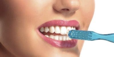 ¿Cuántas veces al día debemos cepillarnos los dientes?