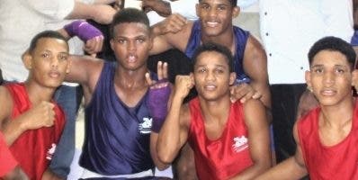 Sur arrasa campeonato nacional boxeo juvenil