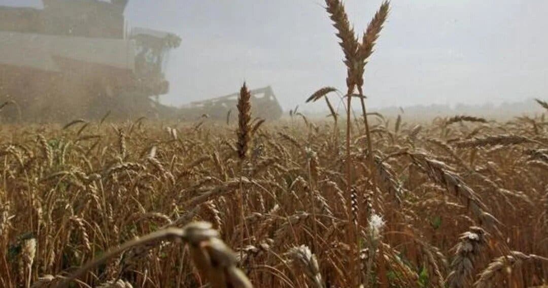 Estados Unidos comprará granos a Ucrania para dar a países pobres