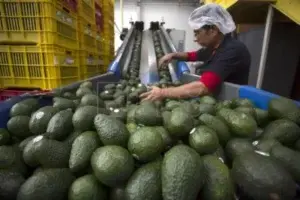 Alianza entre México y EE.UU. promete alimentos seguros para Norteamérica