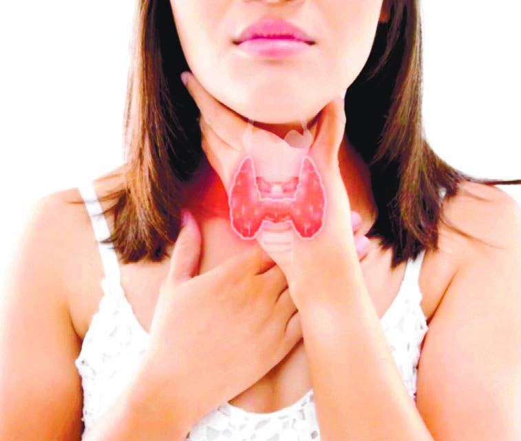 Mitos y realidades de la glándula tiroides, un órgano no tan culpable