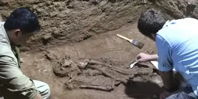 Descubren que los humanos hacían cirugías hace 31.000 años