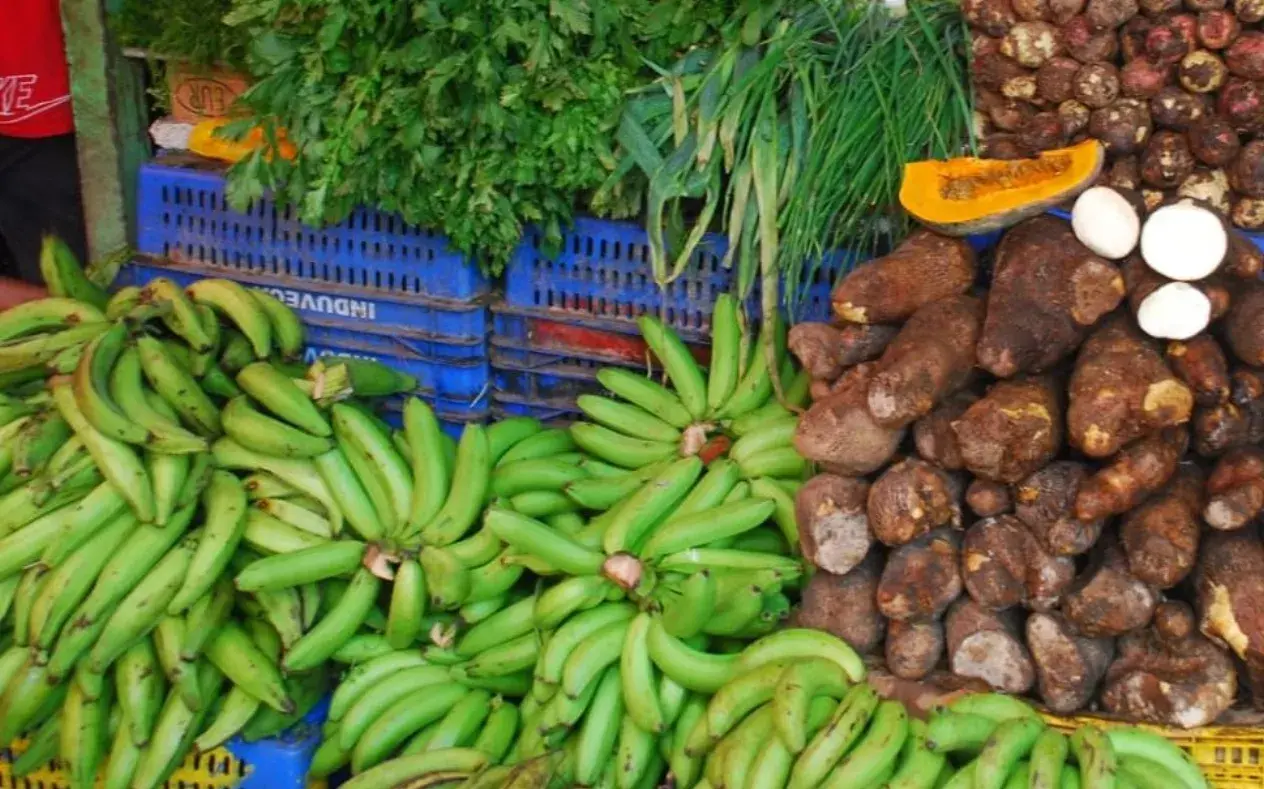 Medidas provocan bajas en precios de alimentos