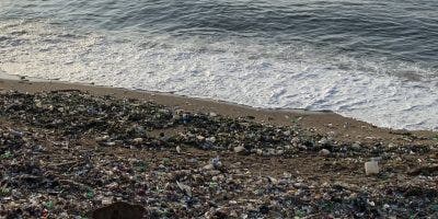 Caribe Circular  iniciativa que busca  prevenir plásticos inunden los mares