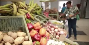 La inflación en diversos  productos agrícolas comienza a ceder en RD