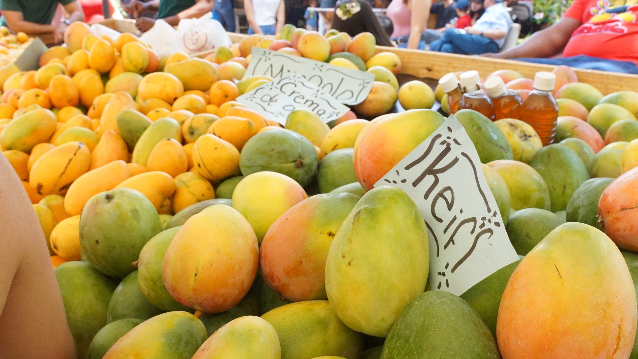 Los 5 beneficios del mango para tu salud que aún no has descubierto