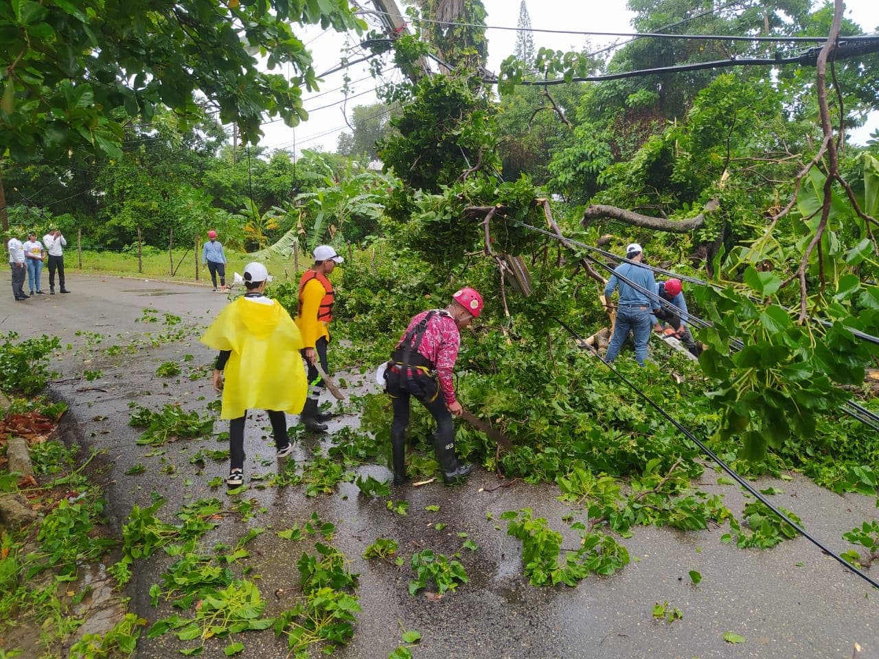 Fiona derribó árboles que bloquearon vías y dañaron viviendas en Puerto Plata