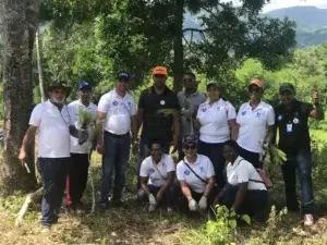 Colaboradores de  hospital siembran mil pinos en jornada de reforestación