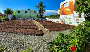 Alcalde Manuel Jiménez inicia Sistema de Huertos Urbanos en Los Frailes