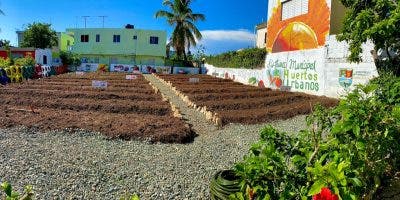 Alcalde Manuel Jiménez inicia Sistema de Huertos Urbanos en Los Frailes