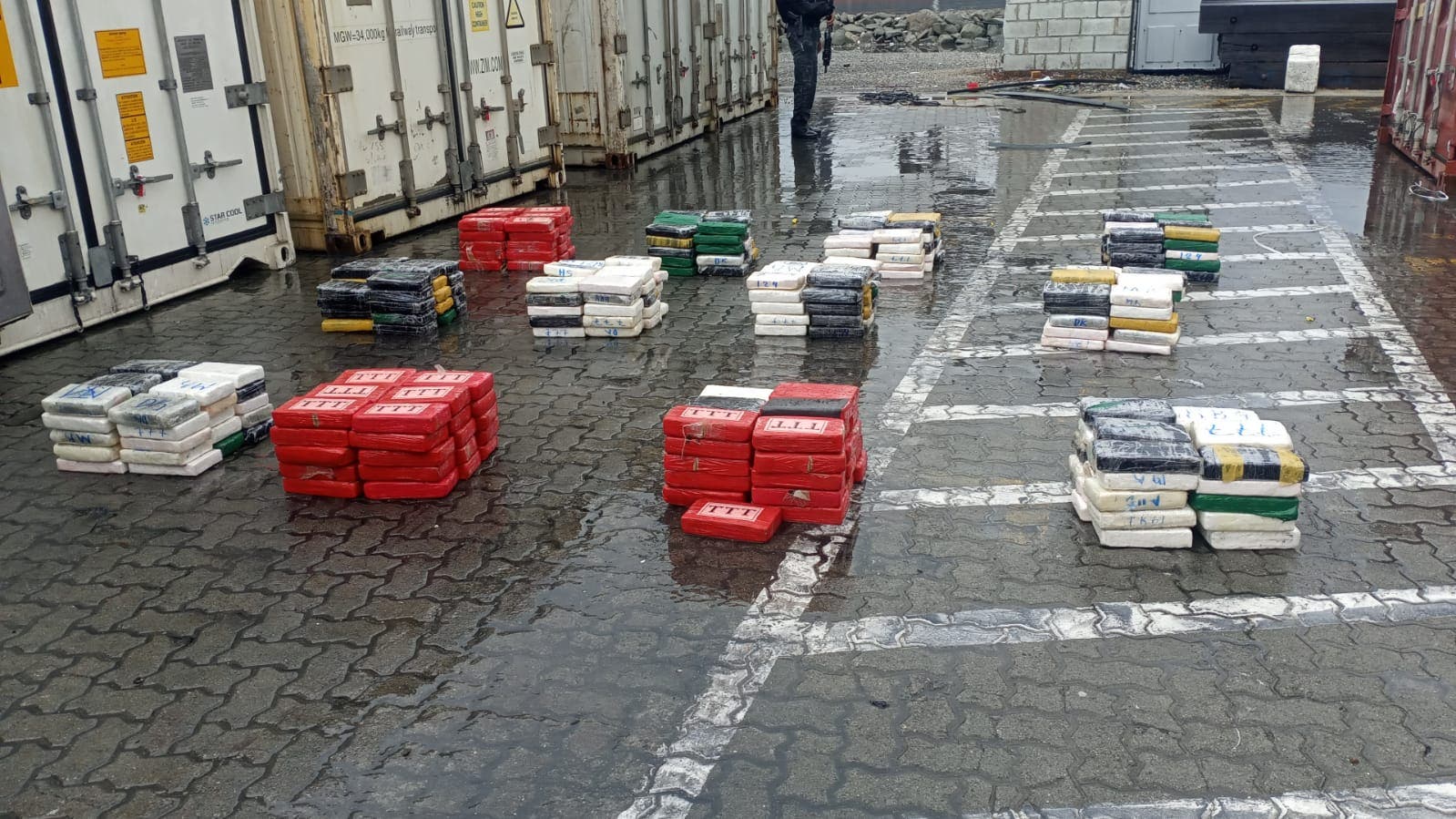 Autoridades incautan 359 paquetes de droga en el Puerto Multimodal Caucedo