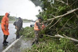 Árboles en las vías y poco tráfico en la autopista Las Américas