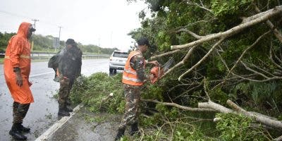 Árboles en las vías y poco tráfico en la autopista Las Américas