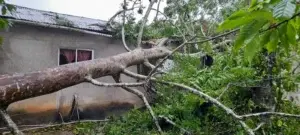 Imágenes de cómo quedó la Región Nordeste tras el paso de Fiona