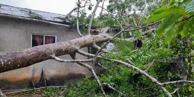 Imágenes de cómo quedó la Región Nordeste tras el paso de Fiona